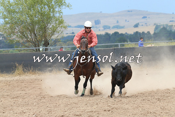 BraidwoodCampdraft2014_2985