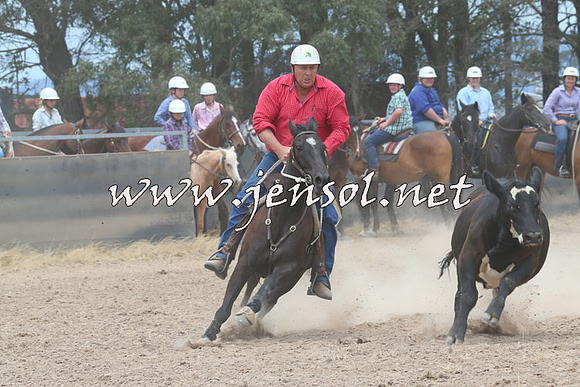 BraidwoodCampdraft2014_3041