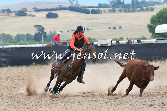 BraidwoodCampdraft2014_2720