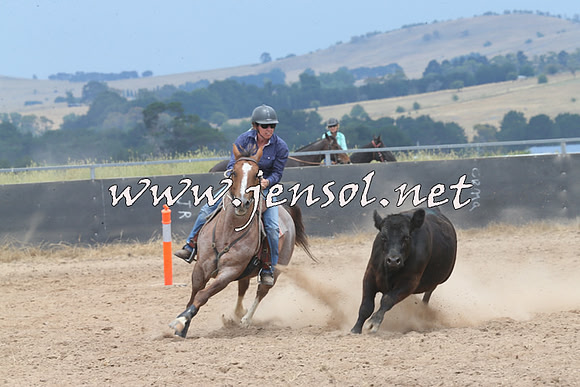 BraidwoodCampdraft2014_3016