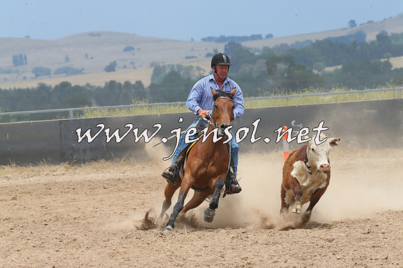 BraidwoodCampdraft2014_2937