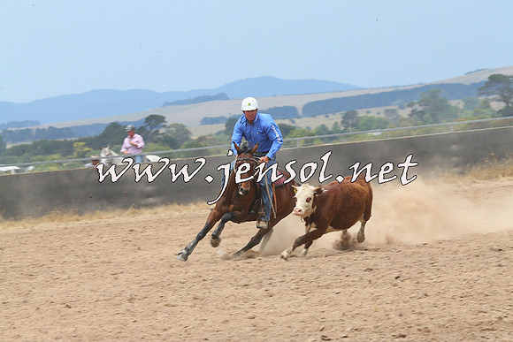 BraidwoodCampdraft2014_2951