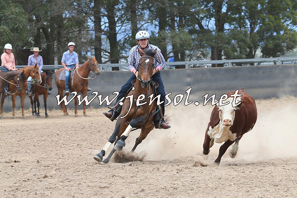 BraidwoodCampdraft2014_2771