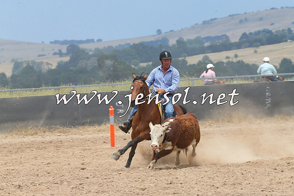 BraidwoodCampdraft2014_2939