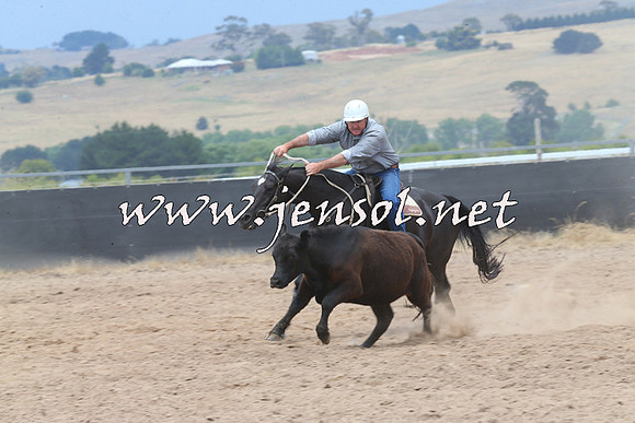 BraidwoodCampdraft2014_2960