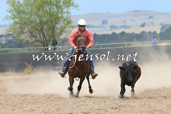 BraidwoodCampdraft2014_2984