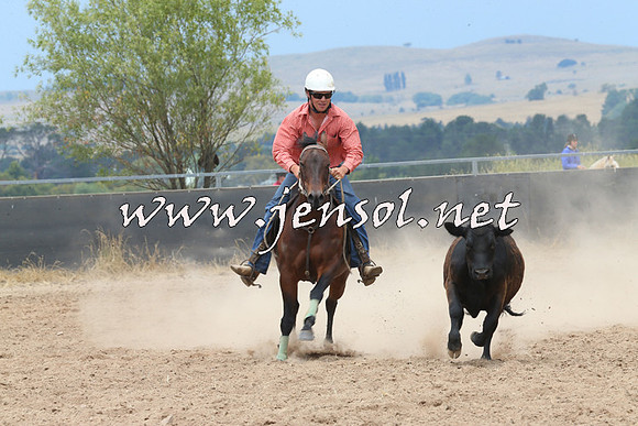BraidwoodCampdraft2014_2983