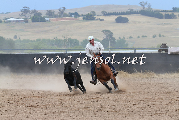 BraidwoodCampdraft2014_2787