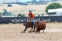 BraidwoodCampdraft2014_2721