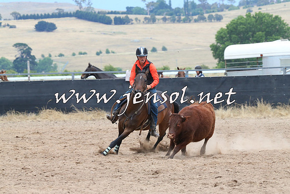 BraidwoodCampdraft2014_2721