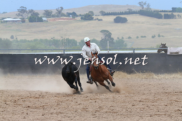 BraidwoodCampdraft2014_2790