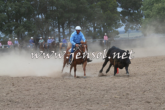 BraidwoodCampdraft2014_3066