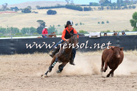 BraidwoodCampdraft2014_2718