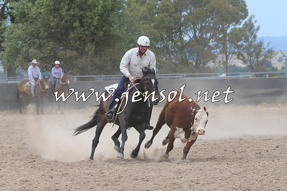 BraidwoodCampdraft2014_3003
