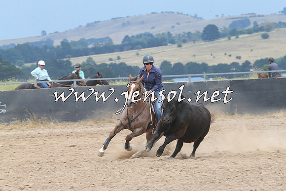 BraidwoodCampdraft2014_3019