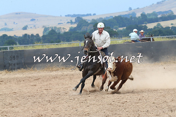 BraidwoodCampdraft2014_2990