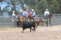 BraidwoodCampdraft2014_2734