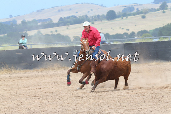 BraidwoodCampdraft2014_2764