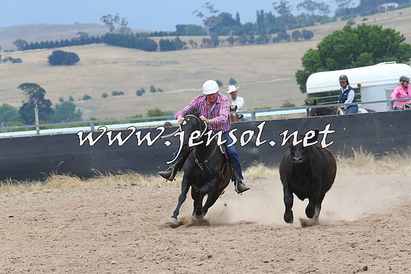 BraidwoodCampdraft2014_3045