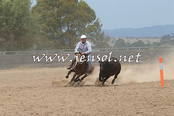 BraidwoodCampdraft2014_3027