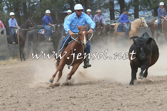 BraidwoodCampdraft2014_3061