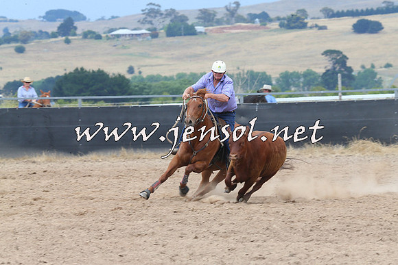 BraidwoodCampdraft2014_3006