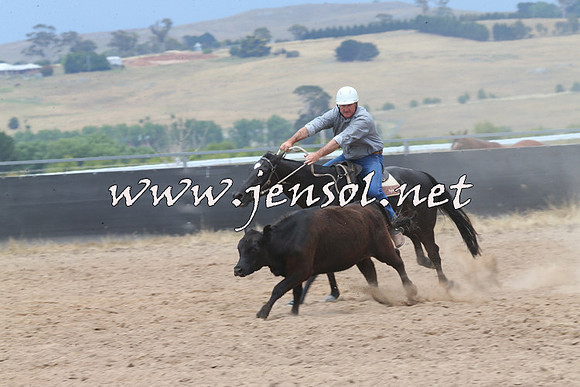BraidwoodCampdraft2014_2959