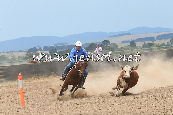 BraidwoodCampdraft2014_2948