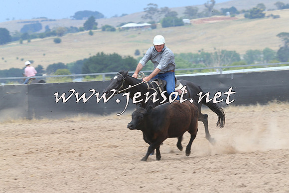 BraidwoodCampdraft2014_2957