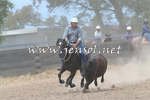 BraidwoodCampdraft2014_2974