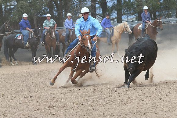 BraidwoodCampdraft2014_3064