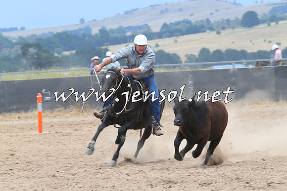 BraidwoodCampdraft2014_2966