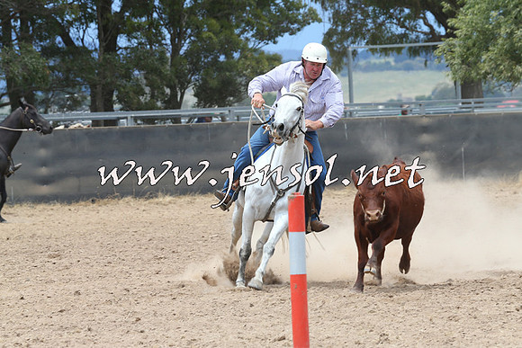 BraidwoodCampdraft2014_2809
