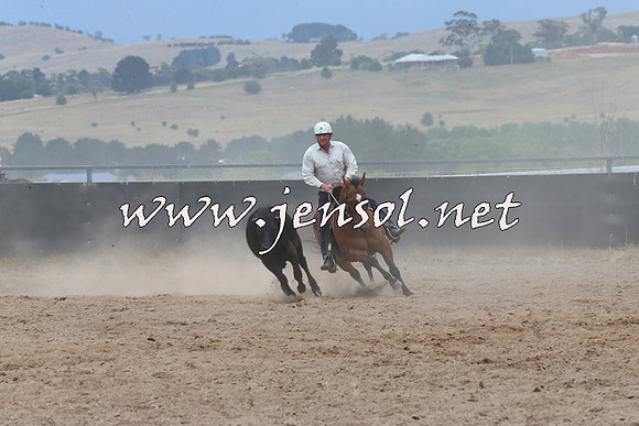 BraidwoodCampdraft2014_2792