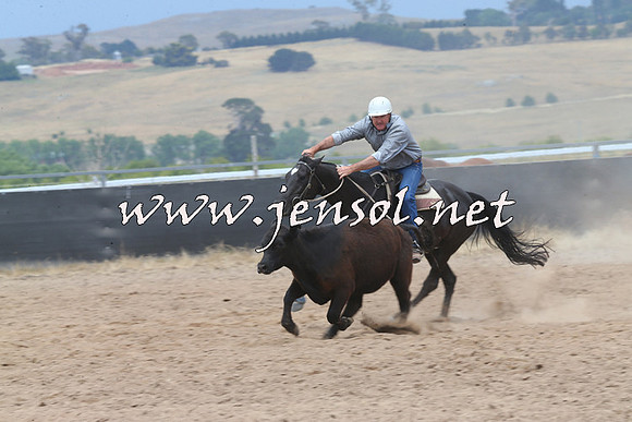 BraidwoodCampdraft2014_2958