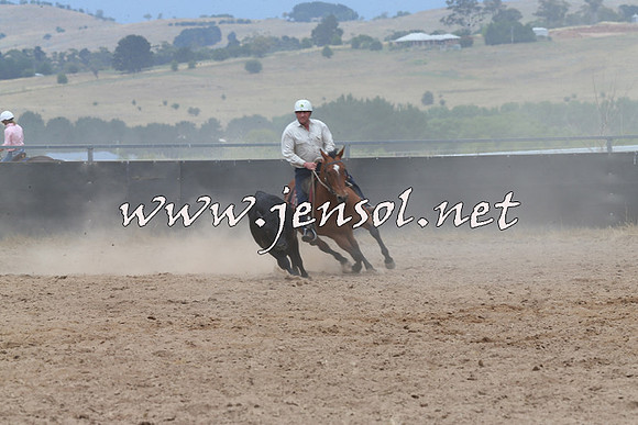 BraidwoodCampdraft2014_2793