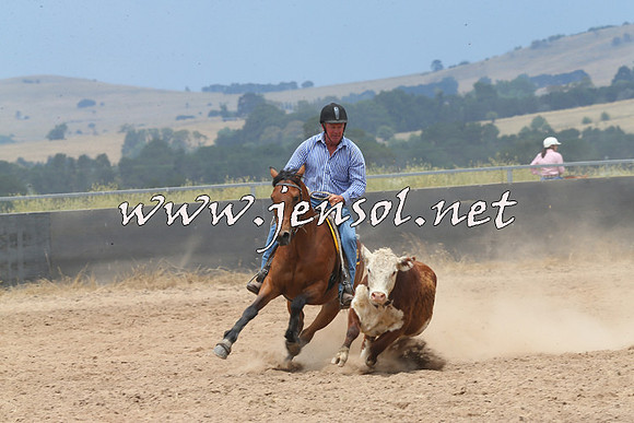 BraidwoodCampdraft2014_2938