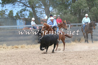 BraidwoodCampdraft2014_2733