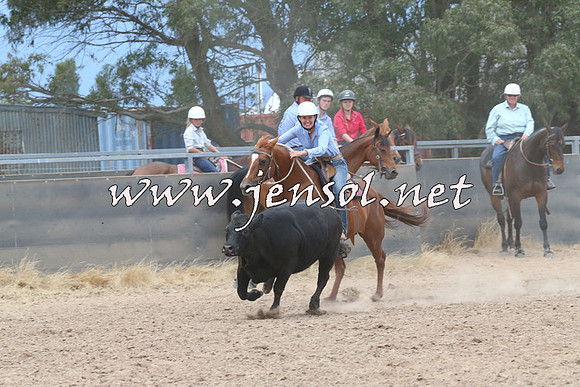 BraidwoodCampdraft2014_2733