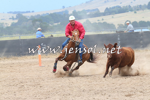 BraidwoodCampdraft2014_2760