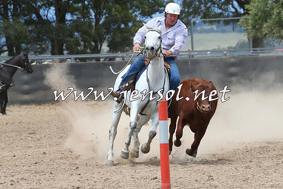 BraidwoodCampdraft2014_2806