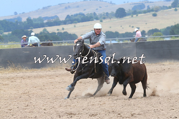 BraidwoodCampdraft2014_2955