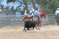 BraidwoodCampdraft2014_2732