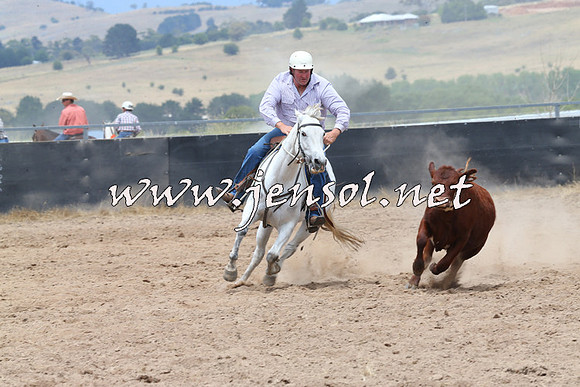 BraidwoodCampdraft2014_2800
