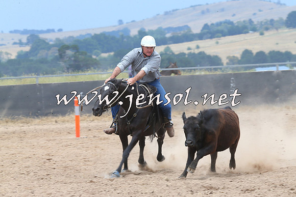 BraidwoodCampdraft2014_2968