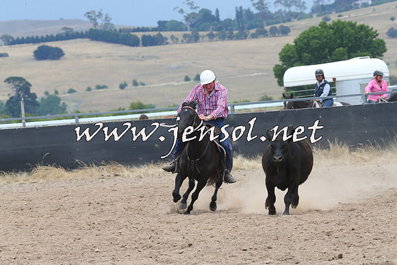 BraidwoodCampdraft2014_3047