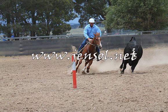 BraidwoodCampdraft2014_2750