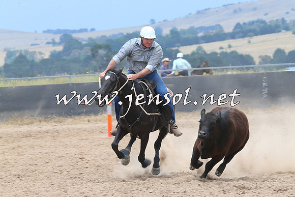 BraidwoodCampdraft2014_2967