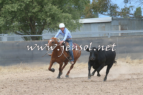 BraidwoodCampdraft2014_2736