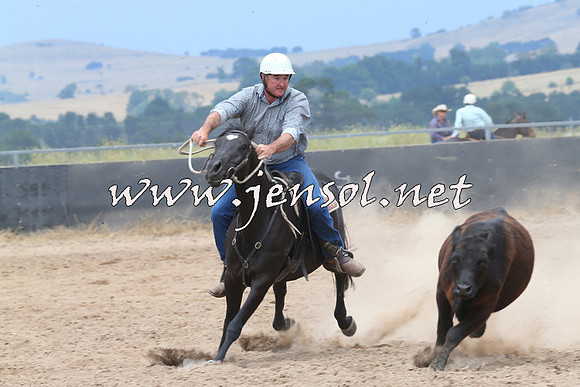 BraidwoodCampdraft2014_2963